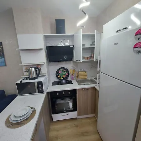 Apartment Classic Ts33 Istanbul