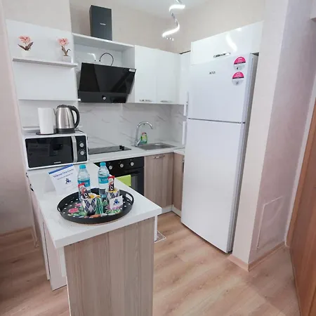 Apartment Classic Ts33