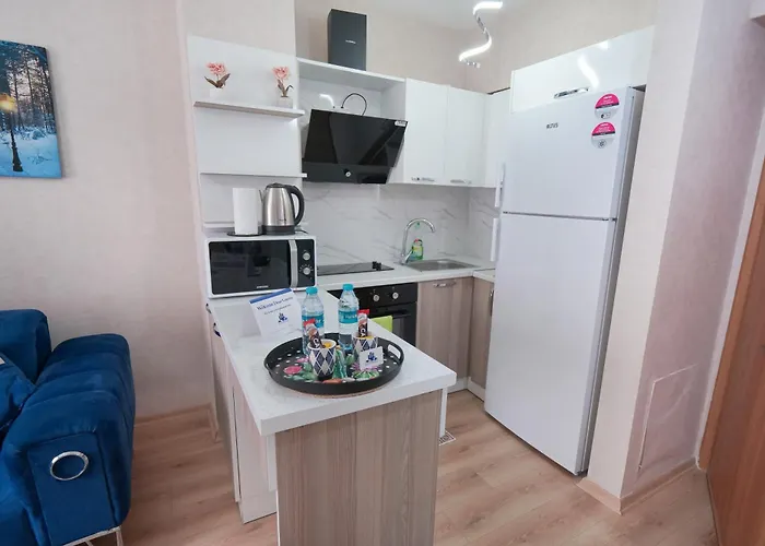 Classic Ts33 Istanbul